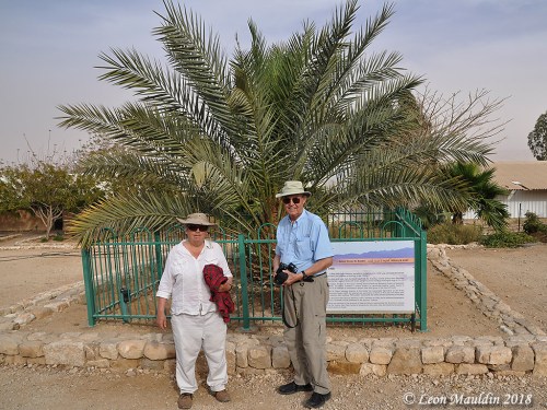 Ferrell Jenkins listening to the history of "Methuselah" from Dr. Elaine Solowey. Photo by Leon Mauldin.