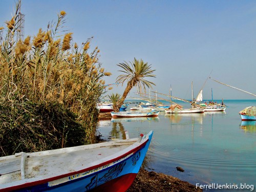 An area along the Suez Canal (Red Sea = Sea of Reeds). Photo by Ferrell Jenkins.