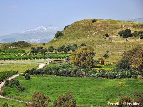 This photo shows the north end of Abel Beth Maacah with Mount Hermon in the distance across the Beka Valley. Photo by Ferrell Jenkins.