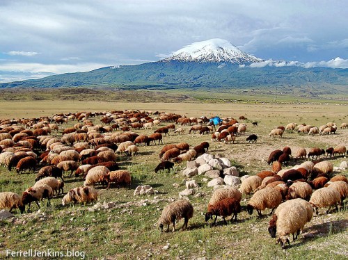 Greater Mount Ararat, in the land of Ararat, near the Iranian border. Photo by Ferrell Jenkins.