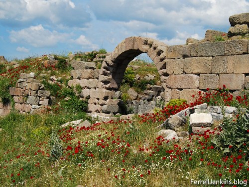 Spring flowers among the ruins at Pergamum. Photo by Ferrell Jenkins.