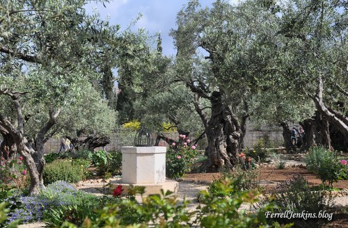 The traditional Garden of Gethsemane where Jesus prayed to the Father prior to his arrest, trials, and crucifixion. FerrellJenkins.blog.