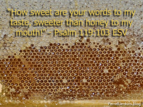 A breakfast honey comb at the Ron Beach Hotel on the shore of the Sea of Galilee, Tiberias, Israel. FerrellJenkins.blog..