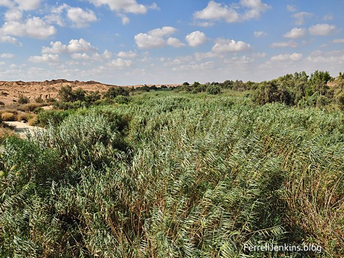 Brook Besor on the north side of highway 241. Photo: ferrelljenkins.blog.