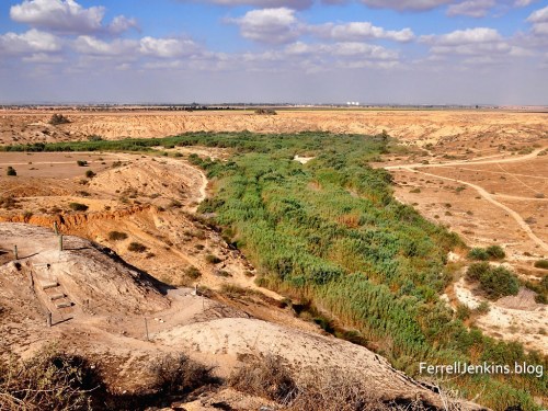 Approach to Tel Shuarhen from the south. View of Brook Besor. Photo ferrelljenkins.blog.