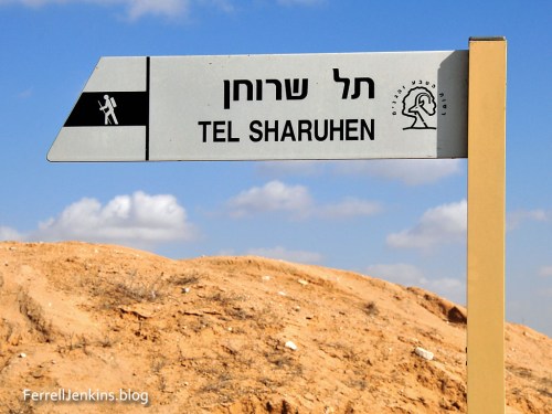 Sign identifying Tel Sharuhen. Photo: ferrelljenkins.blog.