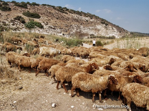 The brook of Elah during the dry season. Photo: ferrelljenkins.blog.