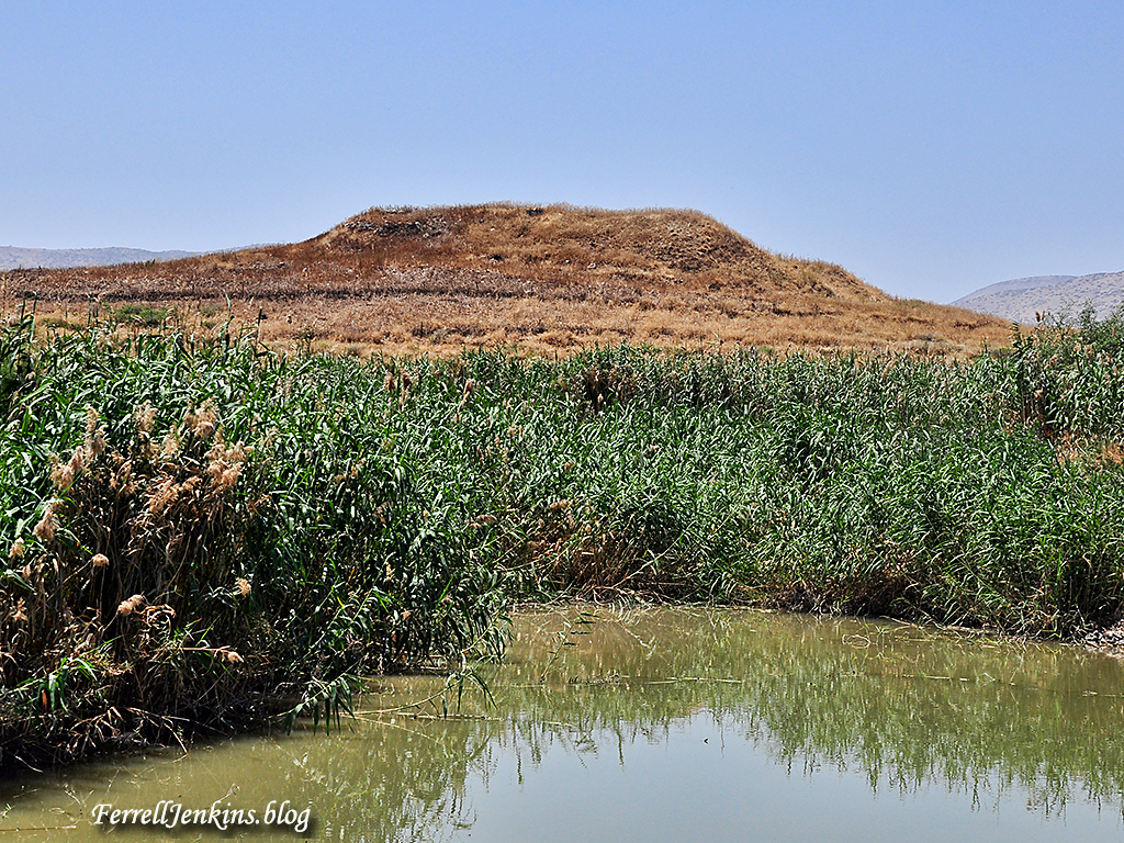 Tel Shalem. View south, with pond of water in foreground.